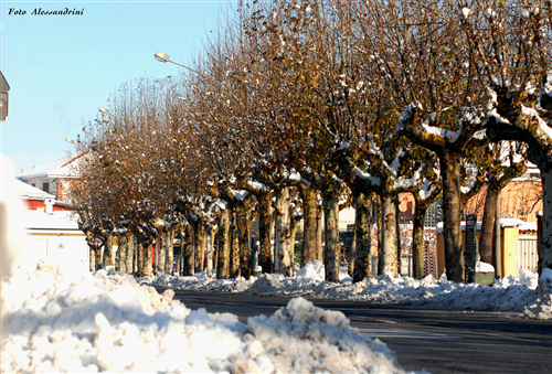Manifestazione di interesse per servizio sgombero neve